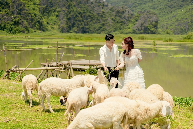 đồng cừu gia hưng địa điểm chụp ảnh cưới đẹp ở ninh bình