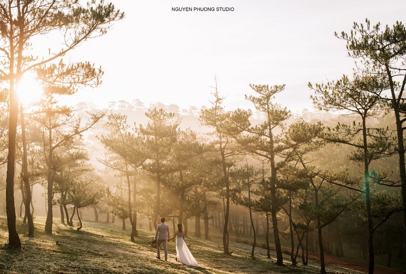 Nguyễn Phương Studio chụp ảnh cưới đà lạt